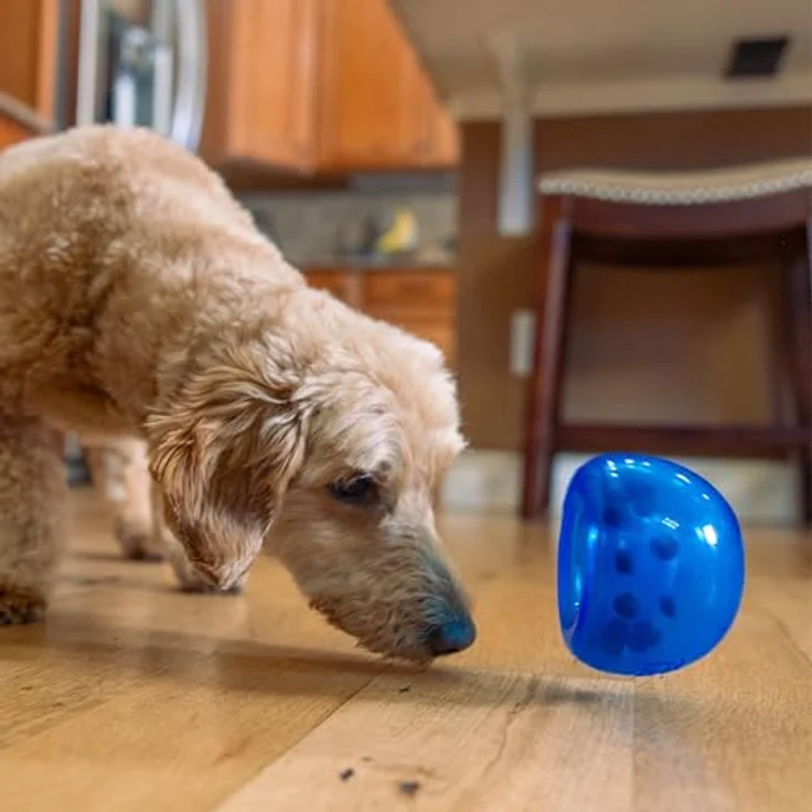 Outward Hound Planet Dog Orbee-Tuff Lil' Snoop - Interaktives Spielzeug für Hunde - Snackball - Royalblau - Klein – Bild 2
