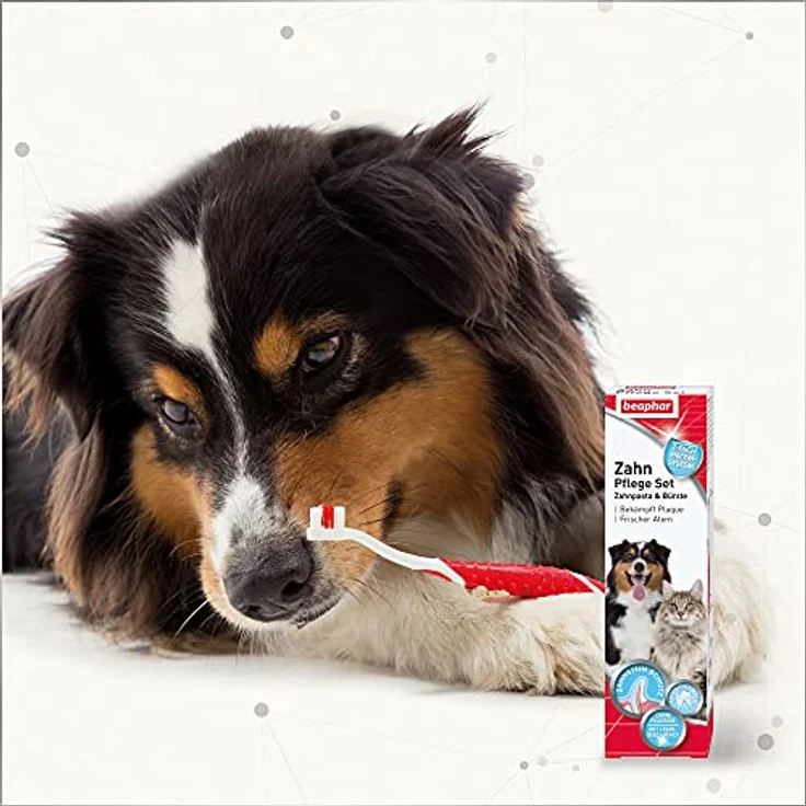 BEAPHAR - Zahnpflege Set Für Hunde Und Katzen - Doppelkopfzahnbürste Und Zahnpasta - Bekämpft Plaque Und Zahnstein - Mit Leber-Geschmack - Ohne Fluoride - Set mit 1 Zahnbürste + 100 g Zahnpasta – Bild 4