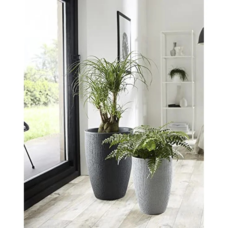 Scheurich Barceo High 54, Hochgefäß/Blumentopf/Pflanzenkübel, rund, Farbe: Stony Black, hergestellt mit recyceltem Kunststoff, 10 Jahre Garantie, für den Außenbereich – Bild 3