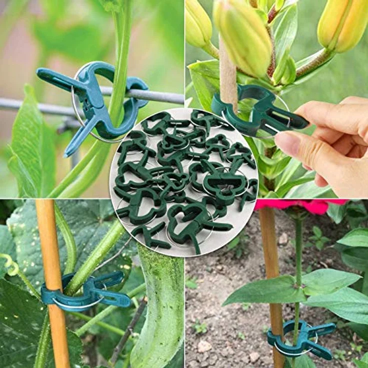 60 Stück Pflanzenclips, Pflanzenhalter, Pflanzen- und Blumenklammern Verbinder, der jungen Pflanze langer Planzen Blumenstengel (30 Große+ 30 Kleine) – Bild 4