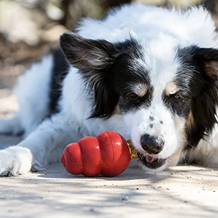 KONG – Snacks – Hundesnacks mit Natürlichen Zutaten (Ideal Kautschuk) – Schinken & Käse – Für Kleine Hunde – Bild 4