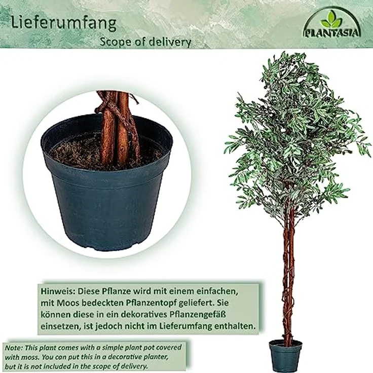 PLANTASIA Kunstpflanze Olivenbaum 180 cm, mit authentischem Stamm und 2256 Blättern und Früchten – Bild 3