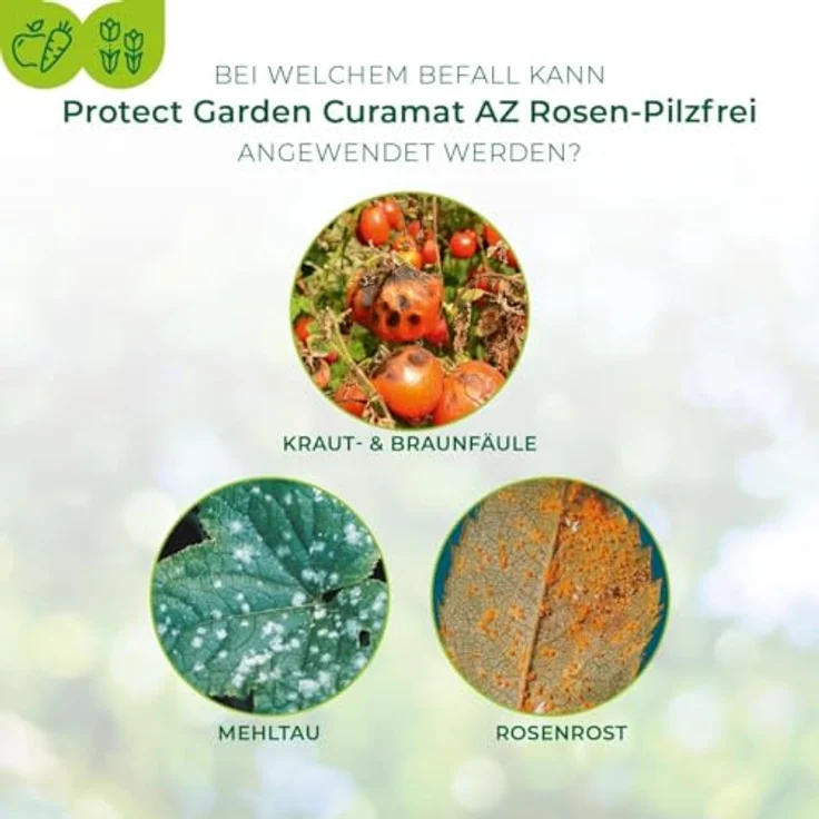 PROTECT GARDEN Curamat AZ Rosen-Pilzfrei, Konzentrat gegen Pilzkrankheiten für Rosen, Zierpflanzen und Gemüse, 15 ml, mit natürlichem Wirkstoff – Bild 5
