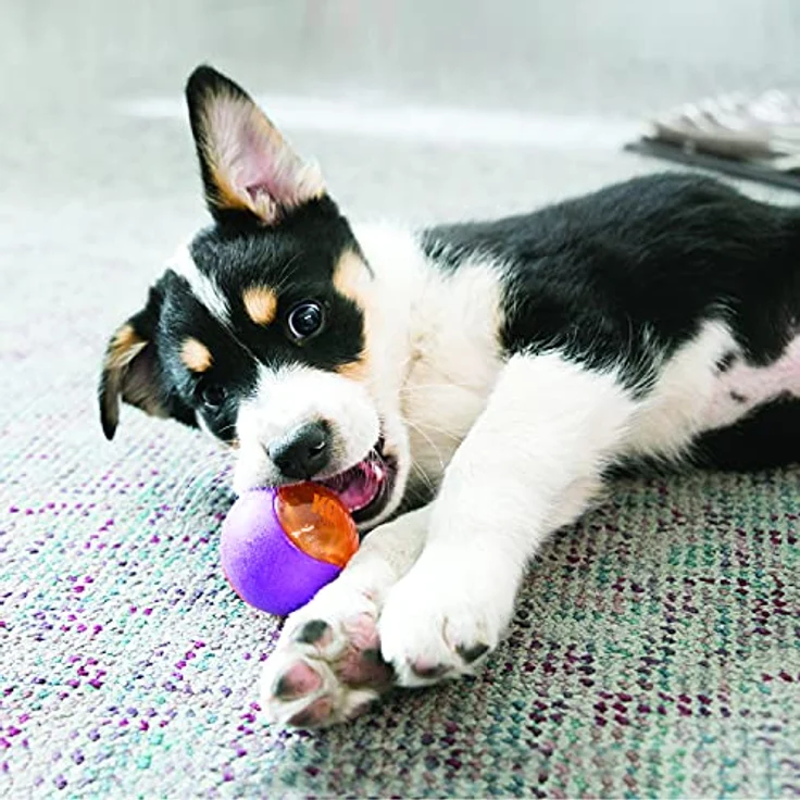KONG -Squeezz Action Ball, Rot – Interaktives, Quietschendes Apportierspielzeug mit Mehrfachen Texturen – Für Mittelgroße Hunde… – Bild 2