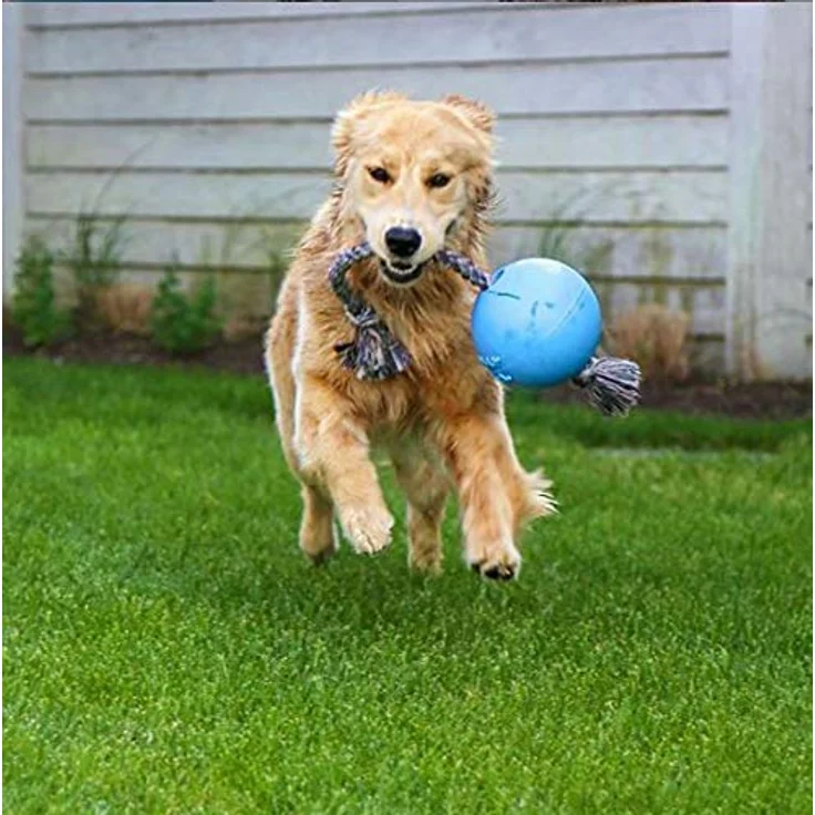 Jolly Pets JOLL050B Hundespielzeug - Ball Romp-n-Roll, 15 cm, hellblau – Bild 2