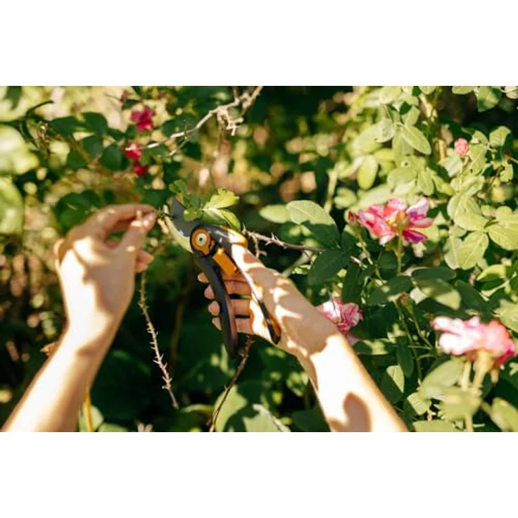 Plus SmartFit Gartenschere Bypass (P541) – Bild 4