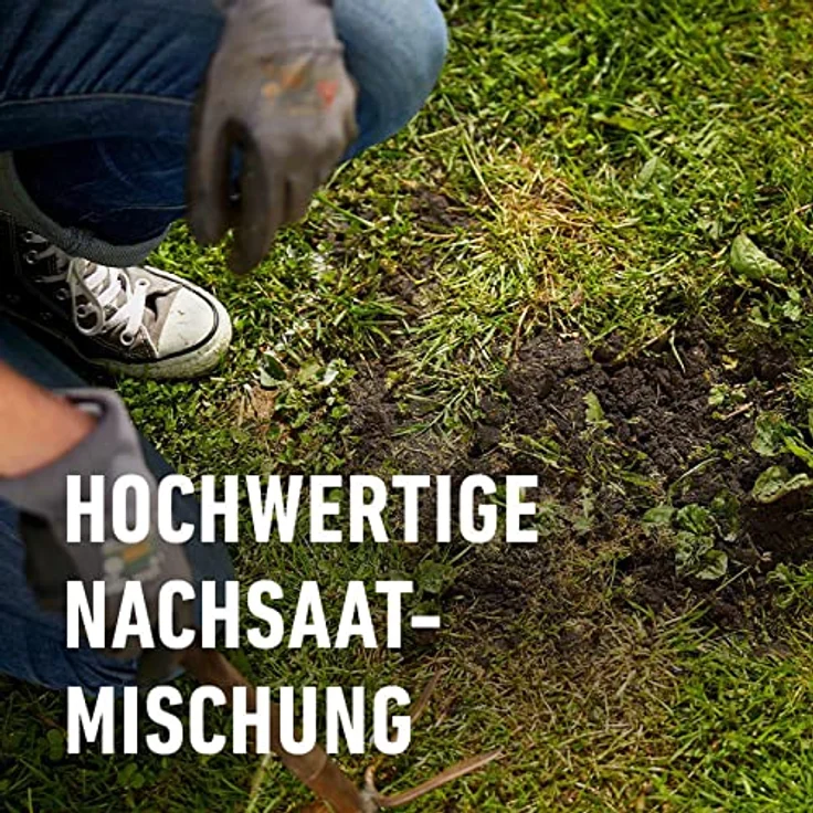 COMPO SAAT Nachsaat-Rasen, 2 kg Eimer für 100 qm – Bild 4