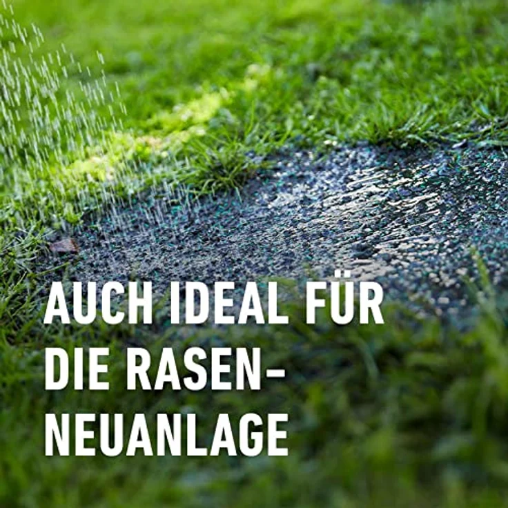 COMPO SAAT Trocken-Rasen, 1 kg für 50 qm – Bild 4