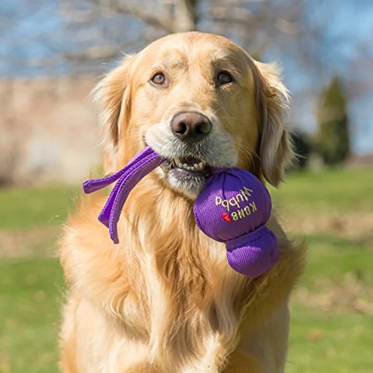 KONG – Wubba – Spielzeug zum Tauziehen und Apportieren (Farbvar.) – Für Große Hunde, Large Breeds - Preisvergleich – Bild 2