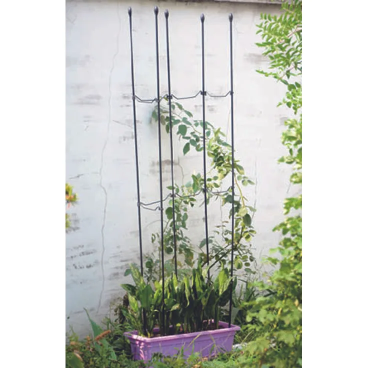 BURI 6x Rankhilfe Set 1,5m Kletterpflanzen Stab Stützen Gartenspalier Rosen Orchideen