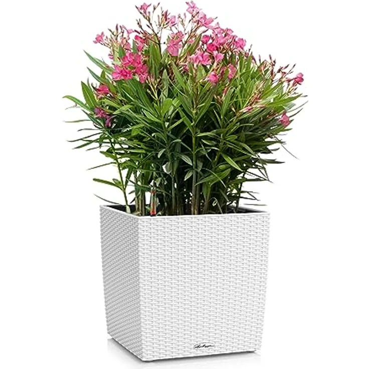Lechuza® Cube Cottage 40, Pflanzkübel mit Flechtoptik und smartem Bewässerungssystem, weiß, 39x39x40 cm, 31 l Pflanzvolumen, 7,5 l Wasserspeicher – Bild 2