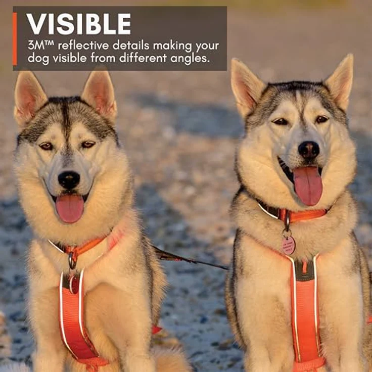 Non-stop dogwear LINE HARNESS 5.0, ergonomisches Kurzgeschirr für Hunde mit 3 Befestigungspunkten, orange – Bild 8