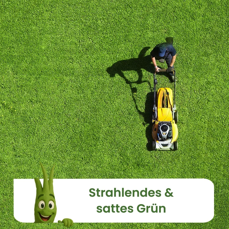 A&G-heute 25kg Eisendünger Rasendünger Grünling 20 Eisen-2-Sulfat für ca. 1000m² Rasenfläche für sattes Grün – Bild 4