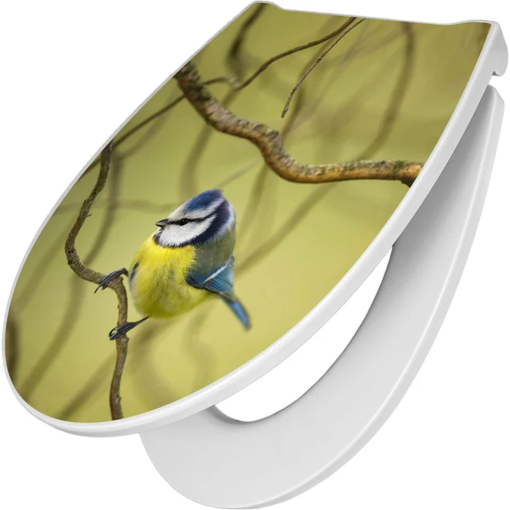 Banjado Premium Toilettendeckel, Duroplast WC-Sitz mit Absenkautomatik und Motiv Blaumeise im Baum, 38,4x45x4,2cm