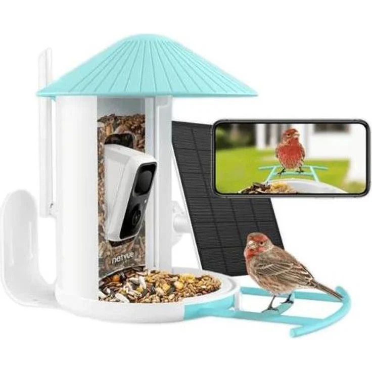 Birdfy Vogelfutterspender mit Solarpanel, 24/7 Aufzeichnung, Vogelhaus