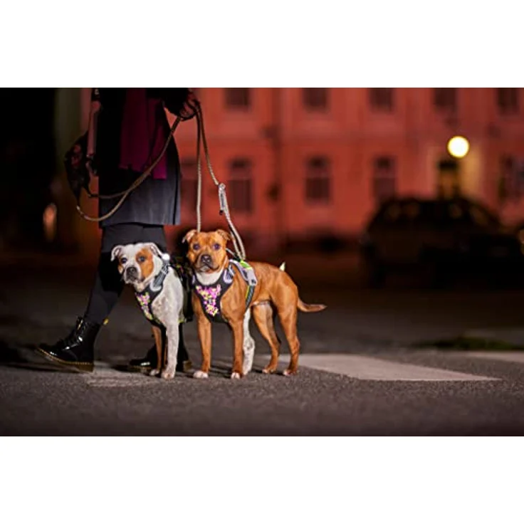 Hurtta Weekend Warrior Neon Hundegeschirr, Brustgeschirr für kleine Hunde, Neon Lakritze, 40-45 cm mit ergonomischem Design und langlebigen Schnellverschlüssen – Bild 3