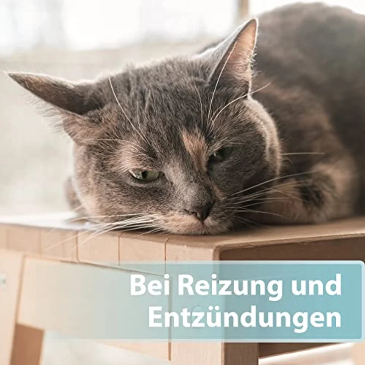 Felisept Hautpflegespray für Katzen, 250ml, regeneriert und pflegt bei Juckreiz und Hautreizungen, von Tierärzten empfohlen – Bild 3