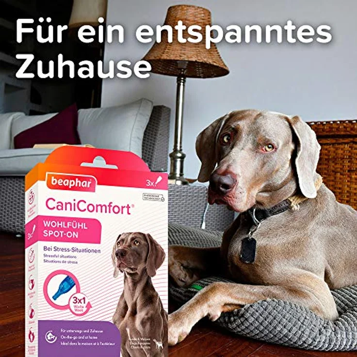 beaphar CaniComfort Wohlfühl Spot-On,Beruhigungsmittel für Hunde mit Pheromonen, 3er Pack ( 3 x 1 ml ) – Bild 4