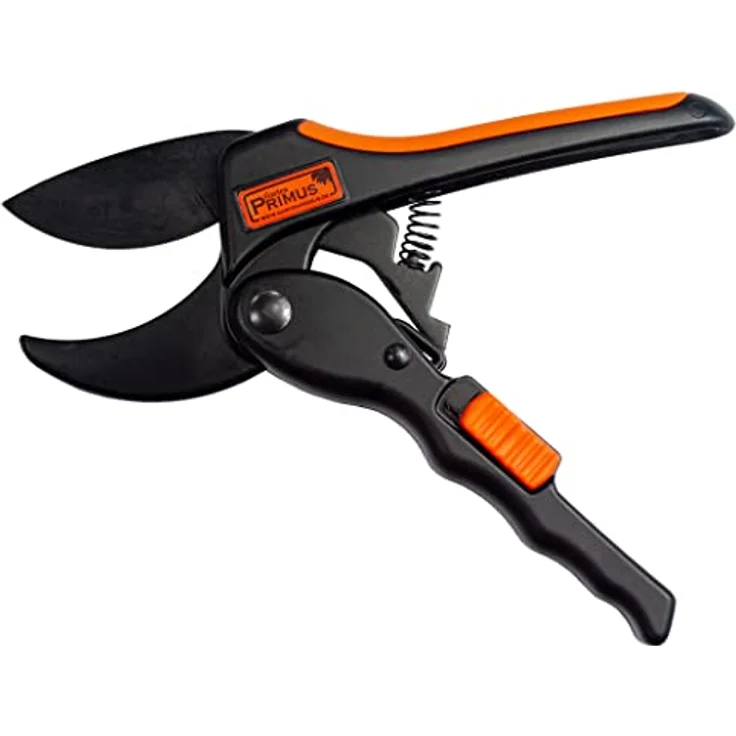 Damen Power-Gleitschere – Bild 2