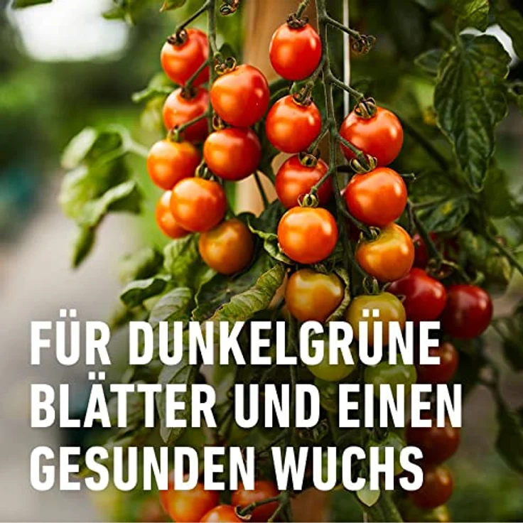 Compo Vital-Turbo, 20 g – Bild 7
