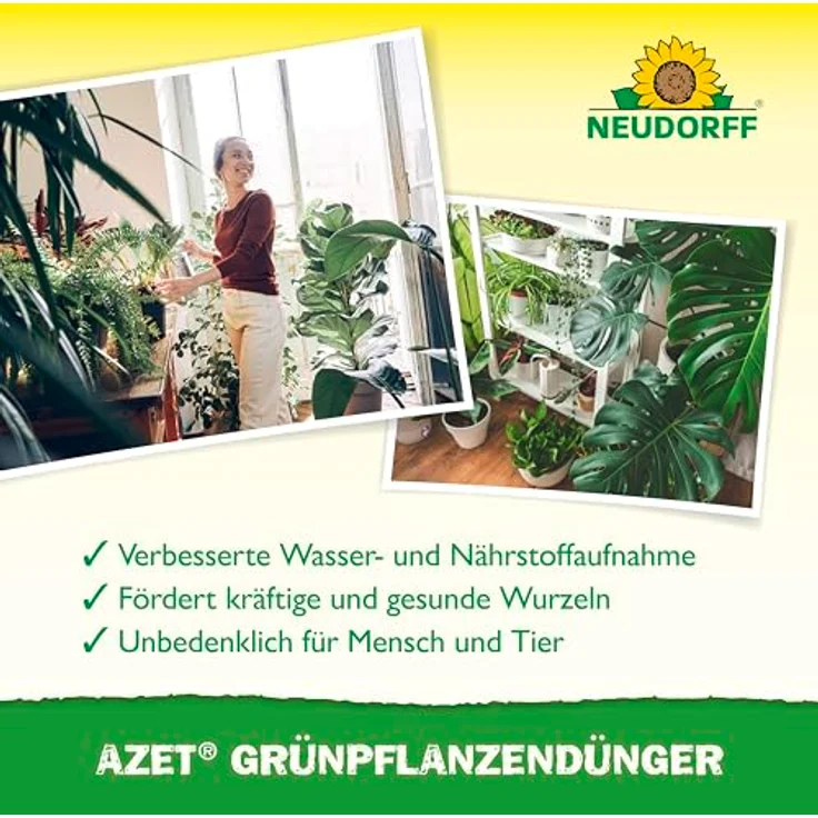 Neudorff Azet GrünpflanzenDünger, 250 ml Bio Dünger für 50L Gießwasser, 100 % organisch und vegan, für schnelles Wachstum und tiefgrüne Blätter aller Grünpflanzen und Palmen, mit Dosierbecher – Bild 4