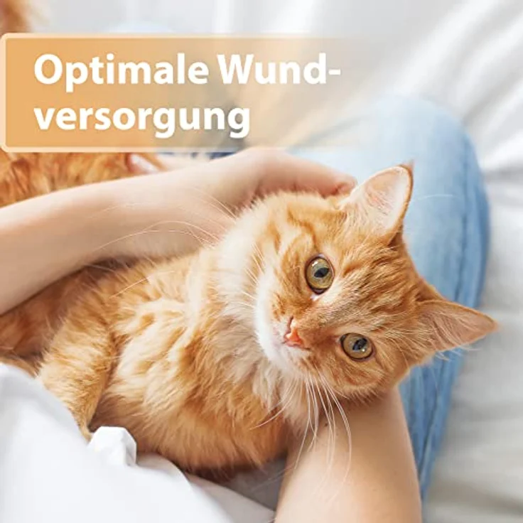 Felisept Wundgel für Katzen, 20ml - Optimale Wundversorgung, schmerzfreie Anwendung, positiver Effekt auf die Narbenbildung – Bild 2
