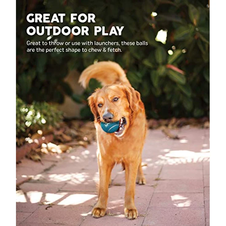 Outward Hound Squeaker Ballz - Hundespielzeug zum Apportieren - Größe S - 4er-Pack – Bild 4