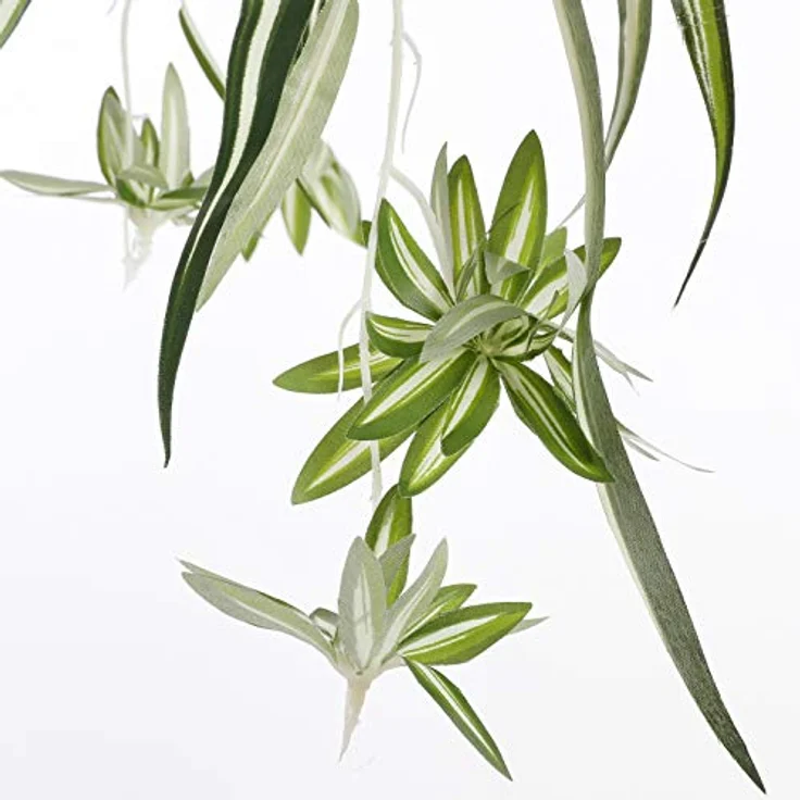 Mica Decorations Kunstpflanze Mica Chlorophytum im Topf grün, 45 x 45 cm, detailgetreue Nachbildung, sofort einsatzbereit - Preisvergleich – Bild 5