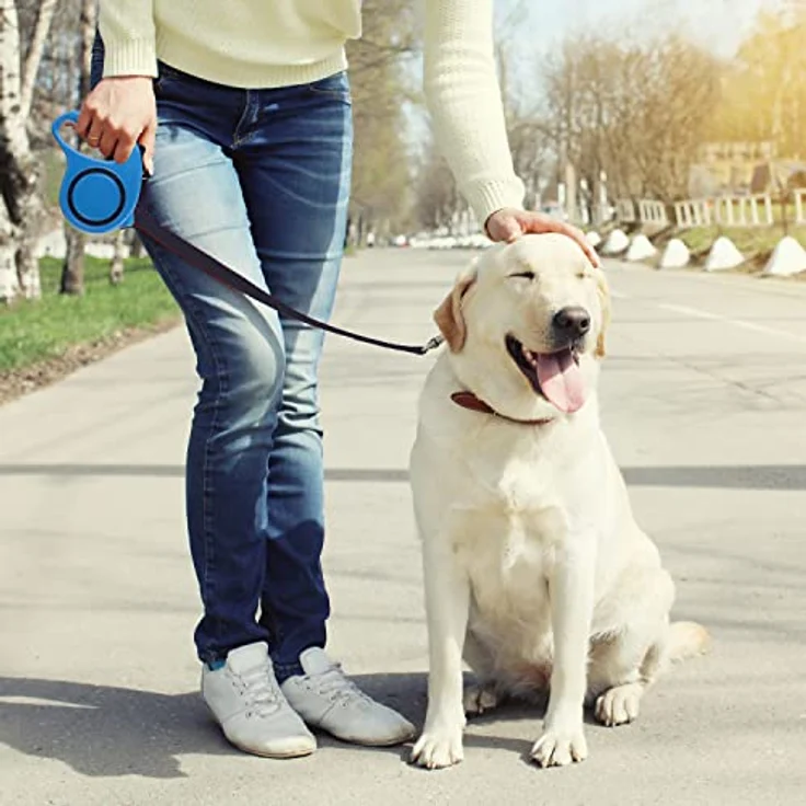 Retoo Rollleine Hundeleine 3m für kleine & große Hunde, Flexibles Band für Rechts Spaziergänge, Dog Leash, Bequemen Griff, Gurt-Leine, Robuste Ausziehleine fürs Gassigehen Roll-Leine Hochwertige Leine – Bild 4