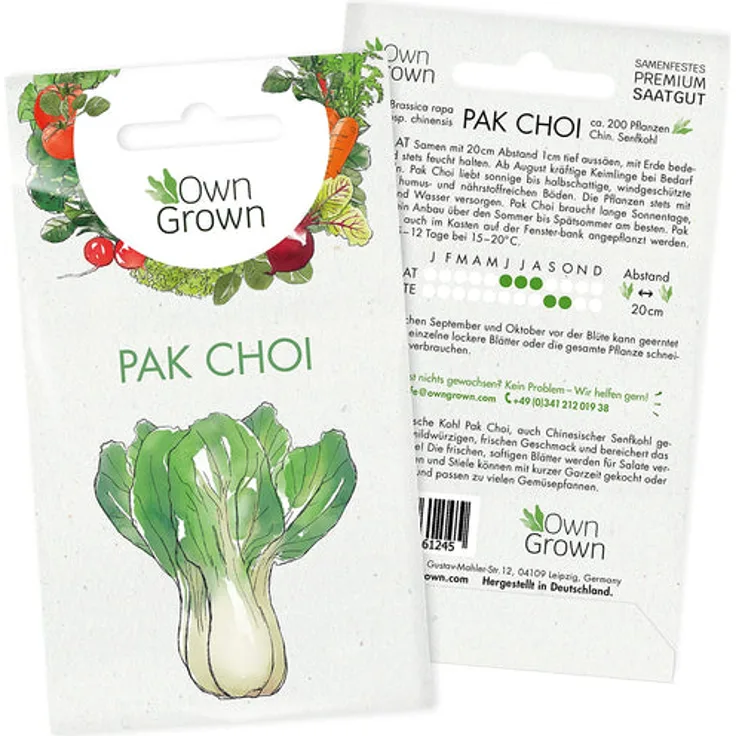 Kopfsalat Samen Salat Samen Zum Anbau Von Ca 500 Salat Pflanzen Bestes: Pak Choi