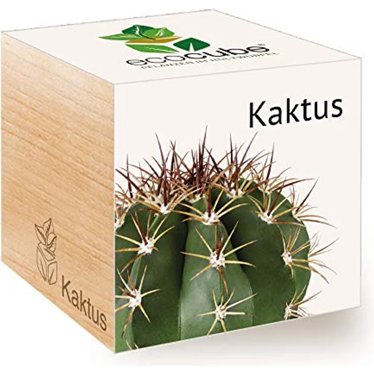 Feel Green Ecocube Kaktus, Anzuchtset im Holzwürfel mit biologisch abbaubarem Pflanzbecher und Nährgranulat, Made in Austria – Bild 1