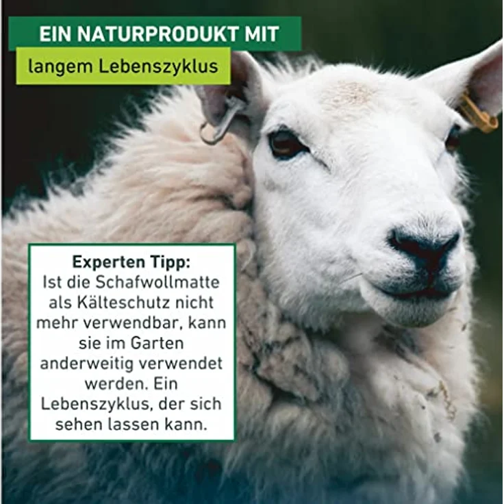 Windhager Schafwoll-Filzmatte, Kälteschutzmatte Filzabdeckung, Frostschutz für Pflanzen 06038 – Bild 6