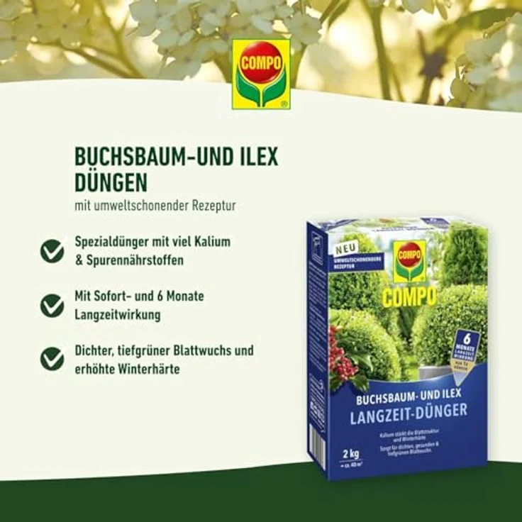 Compo Buchsbaum- und Ilex Langzeit-Dünger, Spezialdünger für Buchsbäume, Stechpalmen und Hecken, 6 Monate Wirkung, umweltschonend, 850 g für 17 m² – Bild 2