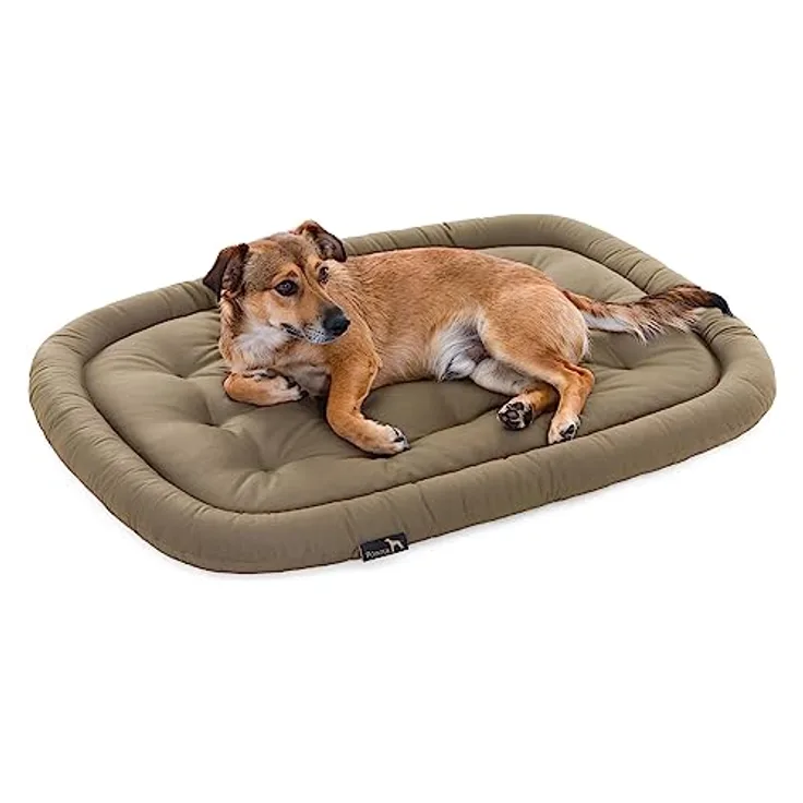 Pointer | Hundekissen waschbar, orthopädisches Hundebett für große Hunde (XL - 105x80 cm, Beige)