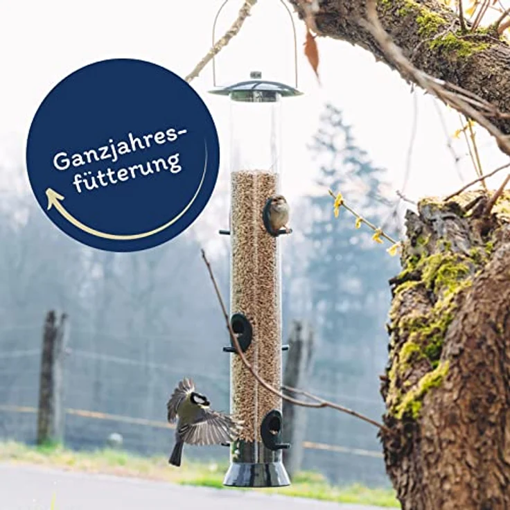 Lyra Pet® | 25 kg Sonnenblumenkerne Geschält | Wildvogelfutter Ganzjährig | Ideal für Jungtiere | Vogelfutter für Wildvögel | Wertvolles Streufutter | Energiespender ohne Schale | Sommer und Winter – Bild 3