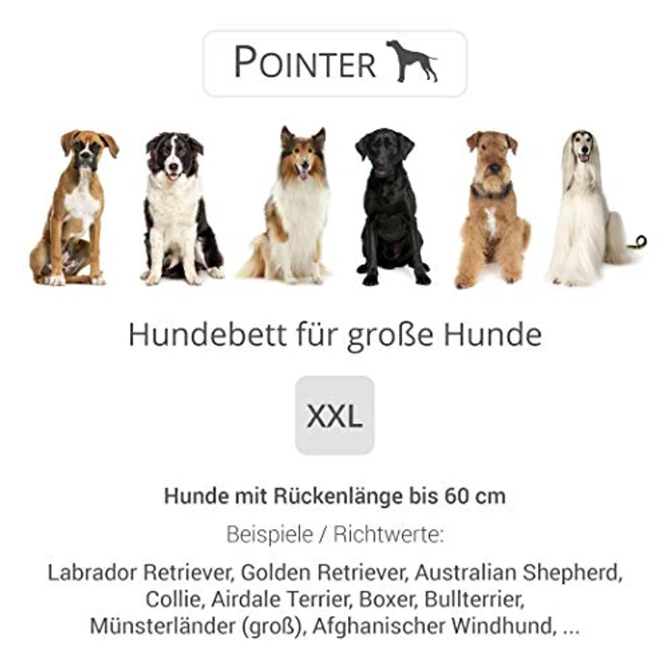 Pointer | Hundebett mit Hundekissen - orthopädisch, waschbar, bequem (XXL - 100x90 cm, Anthrazit) – Bild 4