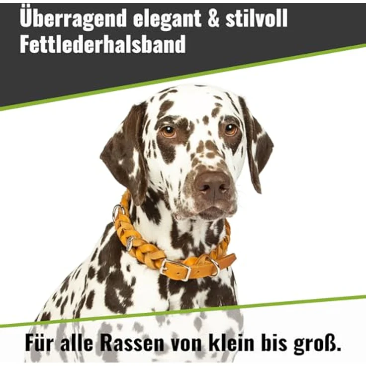 CopcoPet Hundehalsband aus Fettleder, geflochtenes Lederhalsband 25–29 cm x 15mm in Grau, verchromt mit Dornschließe, robust & verstellbar, ideal für kleine Hunde im Alltag & Training – Bild 2