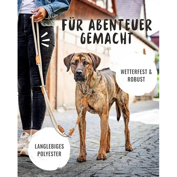 Rudelkönig Führleine Emma 2,30m, Verstellbare Hundeleine für mittelgroße & große Hunde, Elegante Tauleine in Creme mit hochqualitativem Kletterseil – Bild 2