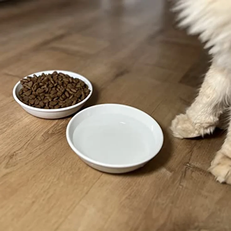 LucyBalu® Katzennapf aus Melamin | Hochwertiger Futternapf & Wassernapf für Katzen | Melamin Fressnapf & Trinknapf Katzen | Katzenfutter Melamin Napf | Katzen 2er Napfset | Weiß – Bild 4