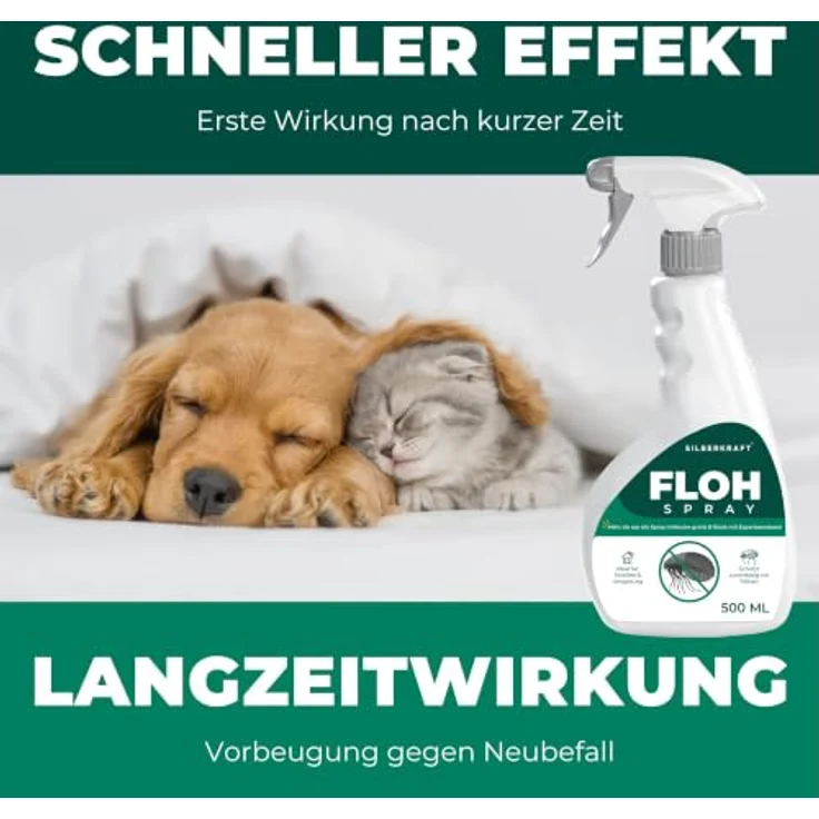 Silberkraft Insektenspray Flohspray Textil & Umgebung 500 ml, gezielte Flohbekämpfung für Textilien & Umgebung, inkl. E-Book mit Tipps zur Vorbeugung – Bild 6