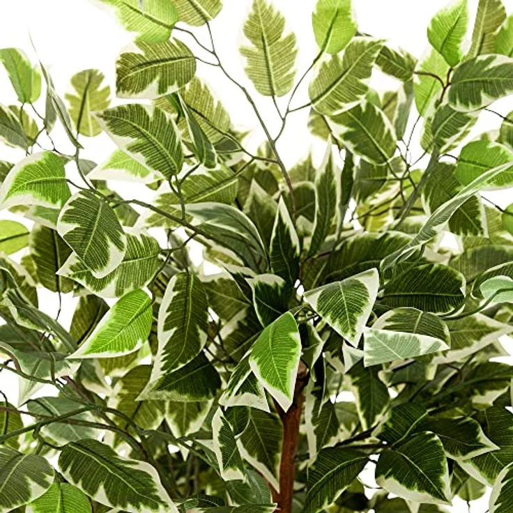 hjh OFFICE Kunstpflanze FICUS Benjamini Höhe 165 cm Grün/Weiß 1008 Blätter Deko Zimmerpflanze Birkenfeige künstlich, 871000 – Bild 2
