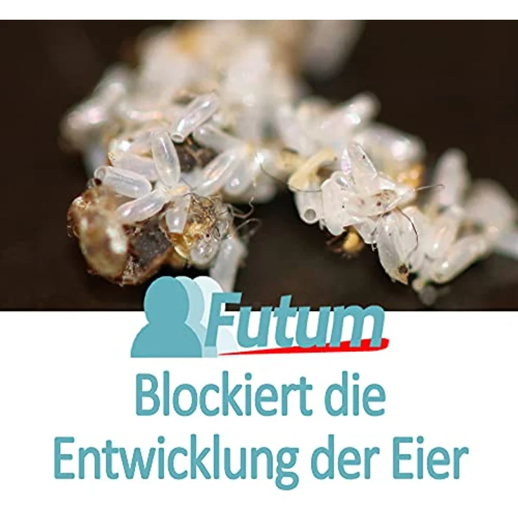 Futum Schaben Spray 500ml Kakerlaken bekämpfen auf Wasserbasis Ohne Treibgase wirkt gegen Eier Innen & Außen – Bild 5