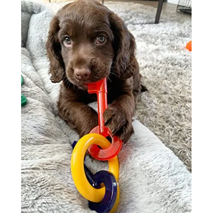 Nylabone Puppy Welpen Beißring Schlüsselbund Speck-Geschmack – Bild 2