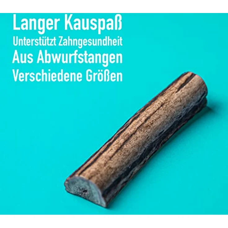 GreenHero Hirschgeweih Kausnack Größe L - 14 cm natürlicher und nachhaltiger Kauknochen aus Hirsch-Geweih für Hunde langlebig zur Unterstützung von Kiefer und Zähnen hypoallergener Hirsch Geweih – Bild 2