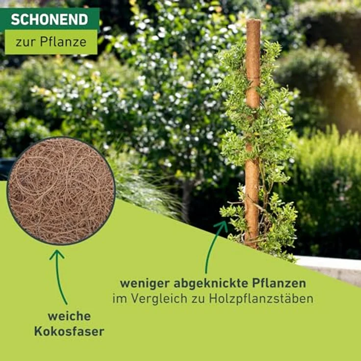 Windhager Pflanzstab Kokos, Rankstab Rankhilfe Blumenstab Kokosstab, zur Dekoration, aus natürlicher Kokosfaser, verlängerbar, 80 cm, 05662 – Bild 4