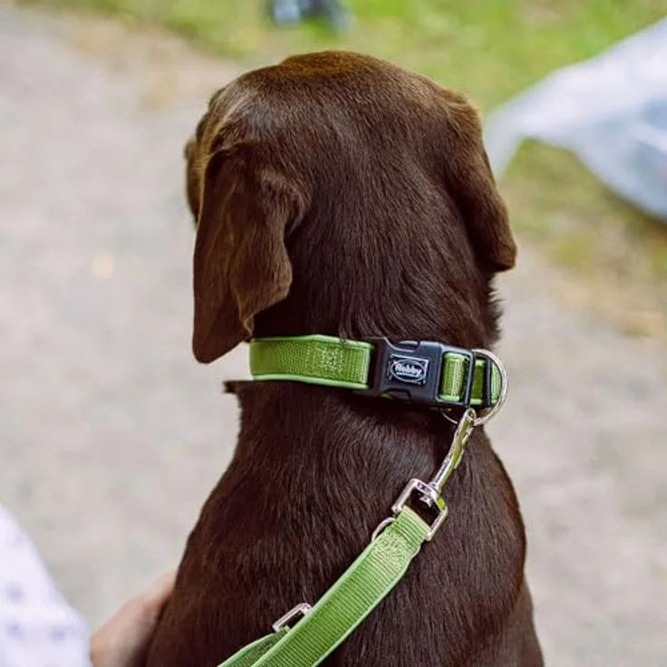 Nobby Halsband Classic Preno waldgrün, Hundehalsband aus Nylon mit Neoprenfütterung – Bild 3