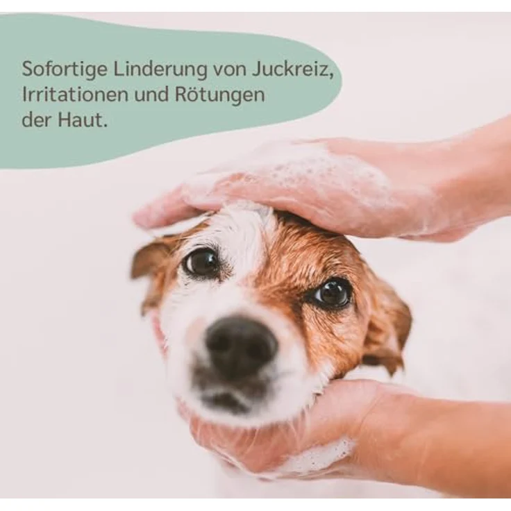 Amusi Dermatitis-Hundeshampoo sensitiv, 250 ml mit beruhigendem Kamillenextrakt und Duft, ideal für empfindliche Haut – Bild 4