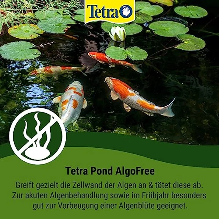 Tetra Pond AlgoFree Schwebealgen- und Fadenalgenvernichter, bekämpft langfristig grünes Wasser im Gartenteich, 250 ml – Bild 2