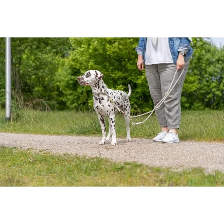 TRIXIE Soft Rope Hundeleine, L-XL 1,0 m/13 mm, hellgrau - robuste Leine für große Hunde mit Trigger Snap Hook, ergonomischer Handschlaufe und strapazierfähigem Nylon – Bild 4