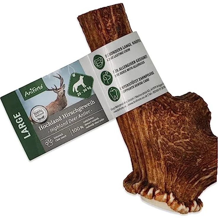 AniForte Hirschgeweih für Hunde L Kauspielzeug aus 100% Geweih – Kauknochen zur Beschäftigung & Zahnpflege, robust & langlebig, Kauwurzel, Kauholz Zahnhygiene, Abwurfprodukt vom Hirsch – Bild 1